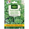 Image de Persil Gigante d'Italie (Géant d'Italie) - Grand Modèle | Vilmorin Jardin