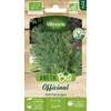 Image de Aneth Officinal - BIO | Vilmorin Jardin