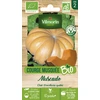 Image de Courge Musquée Muscade - BIO | Vilmorin Jardin