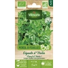 Image de Persil Gigante d'Italia (Géant d'Italie) - BIO | Vilmorin Jardin