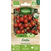 Image de Tomate Cerise - BIO | Vilmorin Jardin