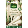 Image de Panais de Guernesey - Légumes d'Autrefois | Vilmorin Jardin