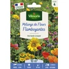 Image de Mélange Flamboyant - 10 m² - Mélange de fleurs | Vilmorin Jardin