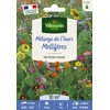 Image de Mélange Mellifère - 10 m² - Mélange de fleurs | Vilmorin Jardin