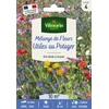Image de Fleurs Utiles au Potager - 10 m² - Mélange de fleurs | Vilmorin Jardin