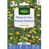 Image de Mélange Résistant Sécheresse - 10 m² - Mélange de fleurs | Vilmorin Jardin