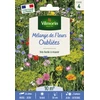 Image de Fleurs Oubliées - 10 m² - Mélange de fleurs | Vilmorin Jardin