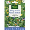 Image de Mélange Couvrant Allées Bordures - 10 m² - Mélange de fleurs | Vilmorin Jardin