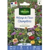 Image de Mélange Champêtre - 10 m² - Mélange de fleurs | Vilmorin Jardin
