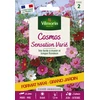 Image de Cosmos Sensation Varié - Grand Modèle | Vilmorin Jardin