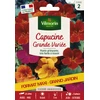 Image de Capucine Grande Variée - Grand Modèle | Vilmorin Jardin