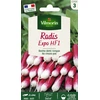 Image de Radis Expo HF1 - Graines d'Exception | Vilmorin Jardin
