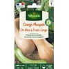 Image de Courge Musquée de Nice à Fruits Longs | Vilmorin Jardin