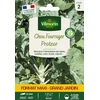 Image de Chou Fourrager Protéor (Obtention I.N.R.A.) - Grand Modèle | Vilmorin Jardin