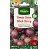 Image de Tomate Black Cherry | Vilmorin Jardin