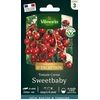 Image de Tomate Sweetbaby - Graines d'Exception | Vilmorin Jardin