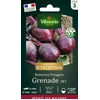 Image de Betterave Potagère Grenade HF1 - Graines d'Exception | Vilmorin Jardin