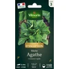 Image de Mâche Agathe | Vilmorin Jardin