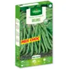 Image de Haricot Nain Vert Delinel | Vilmorin Jardin