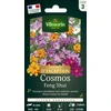 Image de Cosmos Feng Shui - Graines d'Exception | Vilmorin Jardin