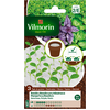 Image de Basilic - Tapis de graines - 3 cm x 10 cm (x3) | Vilmorin Jardin