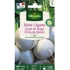 Image de Navet-Légume Rond Boule de Neige | Vilmorin Jardin