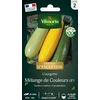 Image de Courgette Mélange de Couleurs - Graines d'Exception | Vilmorin Jardin
