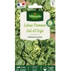 Image de Laitue d'Hiver Val d'Orge | Vilmorin Jardin