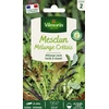 Image de Mesclun Crétois en mélange | Vilmorin Jardin
