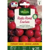 Image de Radis Rond Ecarlate - Grand Modèle | Vilmorin Jardin