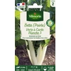 Image de Poirée Verte à Carde Blanche 3 | Vilmorin Jardin