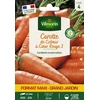 Image de Carotte de Colmar à Coeur Rouge 2 - Grand Modèle | Vilmorin Jardin