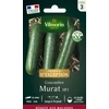 Image de Concombre Murat HF1 - Graines d'Exception | Vilmorin Jardin