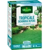 Image de Pelouse Tropicale - Dichondra Repens - 500 g | Vilmorin Jardin