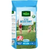 Image de Gazon Ultra Résistant - Label Rouge - 5 kg | Vilmorin Jardin