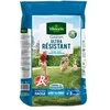 Image de semences de gazon ultra-résistant label rouge - 15 kg