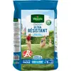 Image de Gazon Ultra Résistant - Label Rouge - 15 kg | Vilmorin Jardin