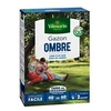 Image de semences de gazon ombre - 1 kg