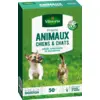 Image de Prairie Animaux - Chiens & Chats | Vilmorin Jardin