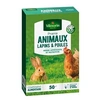 Image de semences de prairie pour lapin et poule