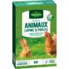 Image de Prairie Animaux - Lapins & Poules | Vilmorin Jardin