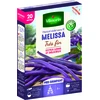 Image de Haricot Grimpant Violet Mélissa - 20 m | Vilmorin Jardin