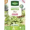 Image de Haricot Grimpant Plat Vert Mistica - 10 m | Vilmorin Jardin