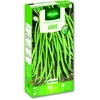 Image de Haricot Nain Vert Argus | Vilmorin Jardin