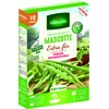 Image de Haricot Nain Vert Mascotte - 10 m | Vilmorin Jardin