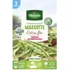 Image de Haricot Nain Vert Mascotte - 5 m | Vilmorin Jardin
