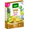Image de Haricot Nain Beurre Victor - 20 m | Vilmorin Jardin