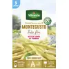 Image de Haricot Grimpant Beurre Monte Gusto - 5 m | Vilmorin Jardin