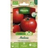 Image de Tomate Matina - BIO | Vilmorin Jardin