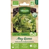 Image de Laitue Pommée May Queen - BIO | Vilmorin Jardin